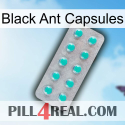 Black Ant Capsules